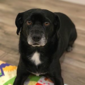 Meet your Posher, Karen